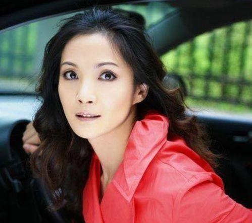 红楼演员李婷个人资料,红楼梦中绽放的璀璨明珠