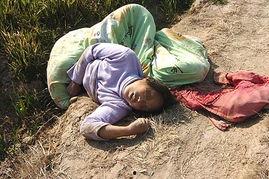 熏人的图片,一场视觉与嗅觉的奇幻之旅